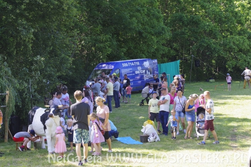 3 lipca w Godkowie odbyła się IV Palinocka.