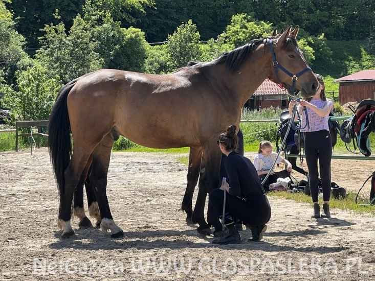 Jard, oszczep i wicemistrz. Pasłęk, a igrzyska olimpijskie