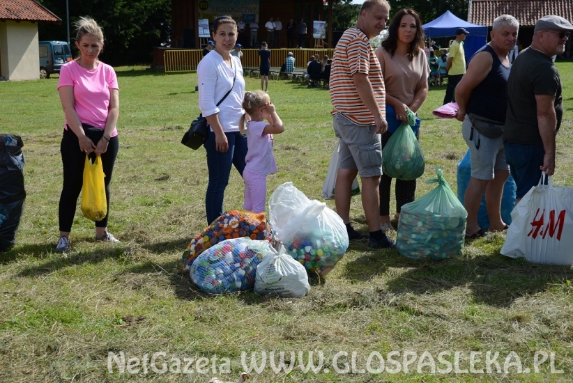 Pięć ton elektrośmieci