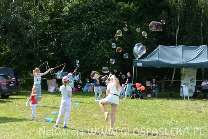 Pięć ton elektrośmieci