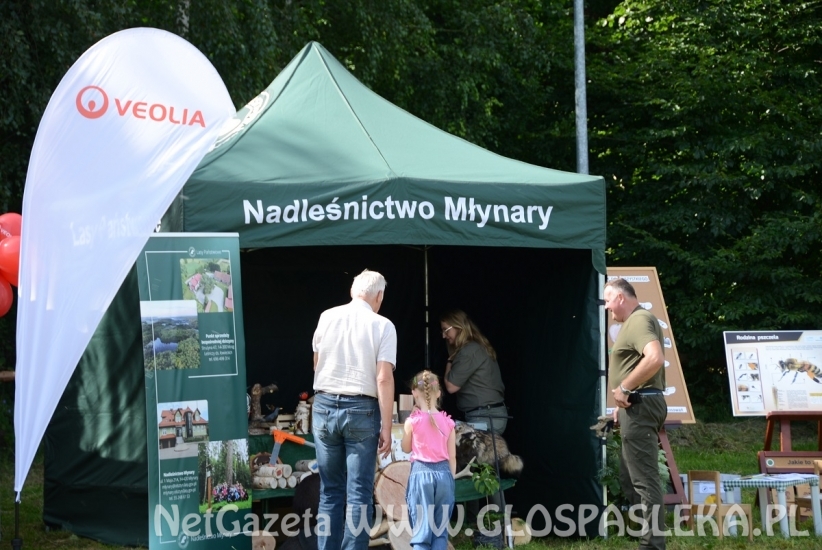 Pięć ton elektrośmieci