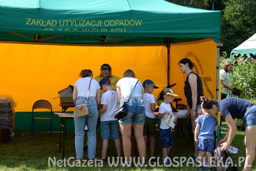 Pięć ton elektrośmieci