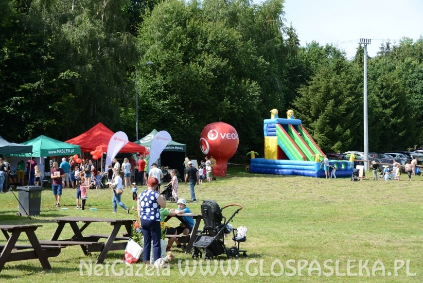 Pięć ton elektrośmieci