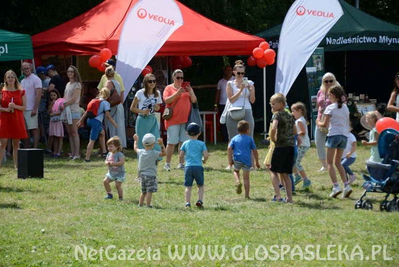 Pięć ton elektrośmieci