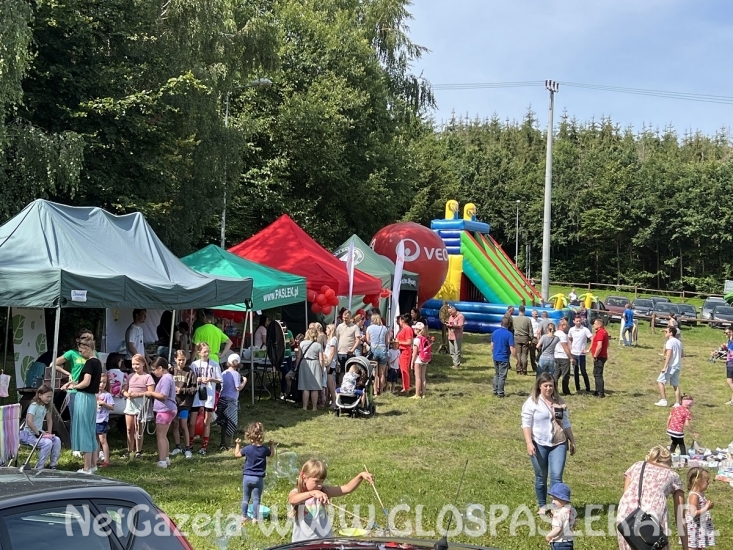 Pięć ton elektrośmieci