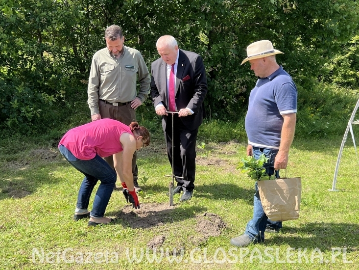 Pięć ton elektrośmieci