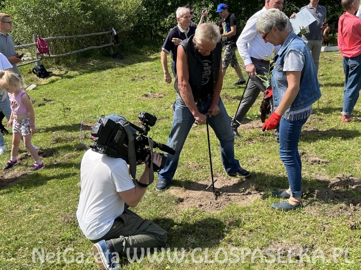 Pięć ton elektrośmieci