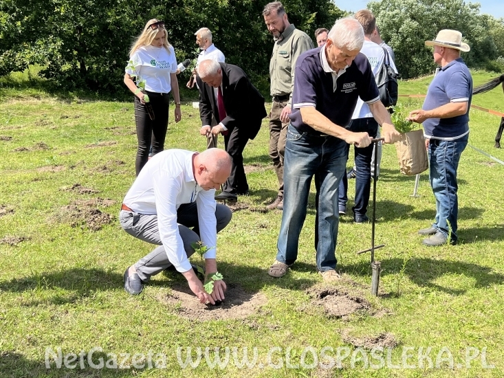 Pięć ton elektrośmieci