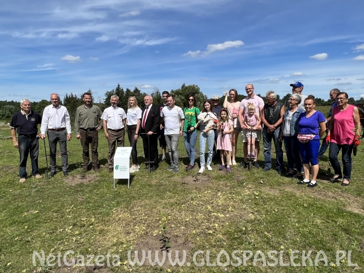 Pięć ton elektrośmieci