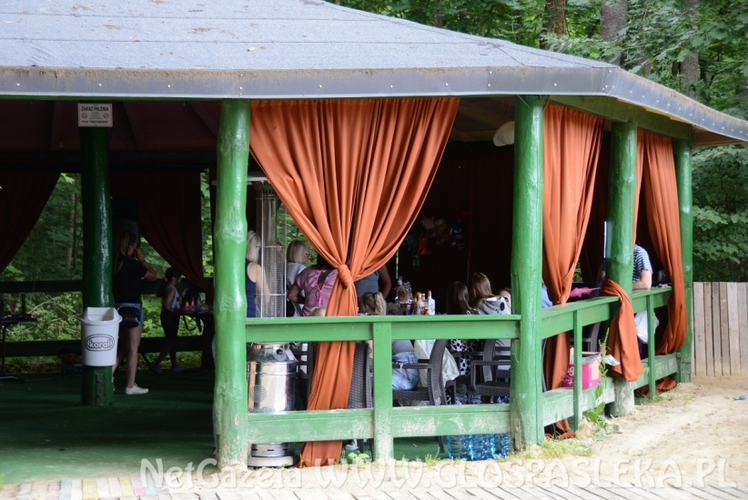 Zbiórka na rzecz Malwinki