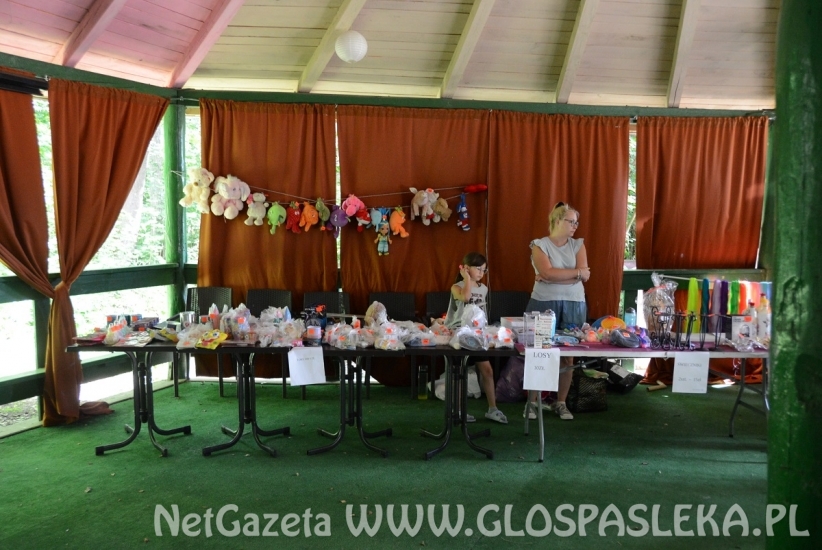 Zbiórka na rzecz Malwinki