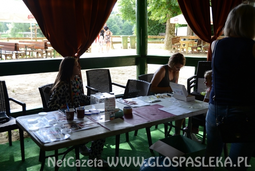 Zbiórka na rzecz Malwinki