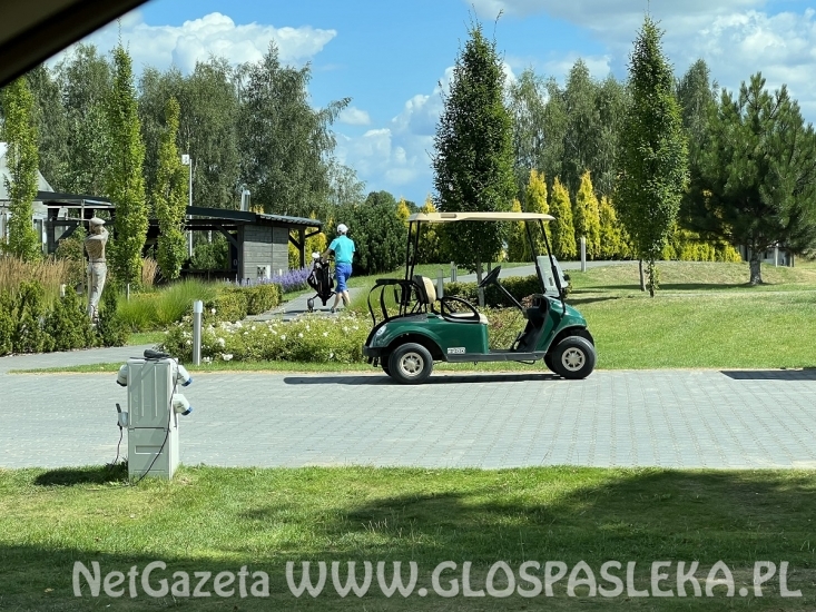 Turniej golfa i aukcja charytatywna