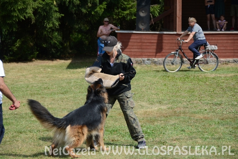 Wystawa psów rasowych