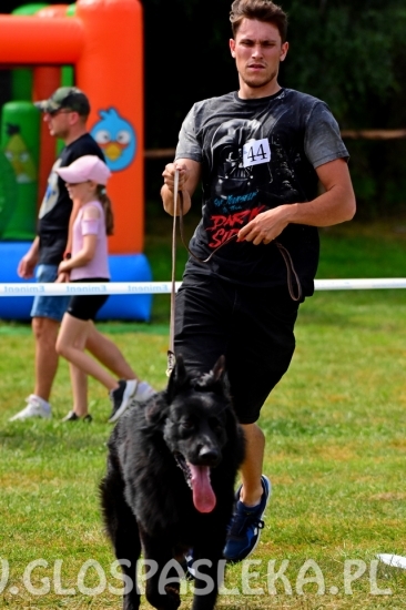 Wystawa psów rasowych II