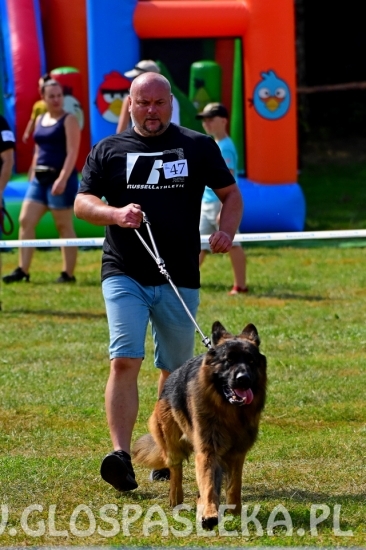 Wystawa psów rasowych II