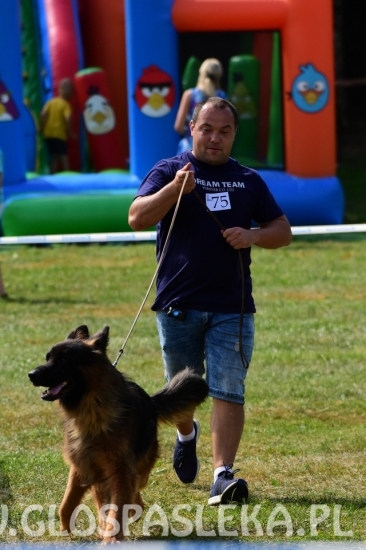 Wystawa psów rasowych II