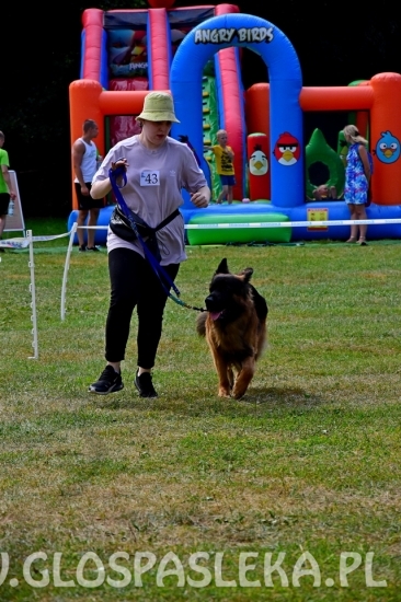 Wystawa psów rasowych II