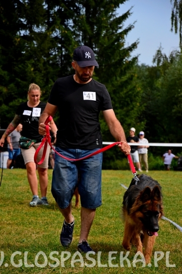 Wystawa psów rasowych