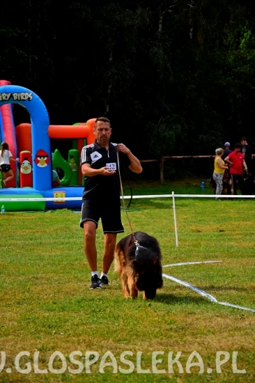 Wystawa psów rasowych