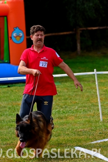 Wystawa psów rasowych