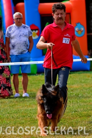 Wystawa psów rasowych