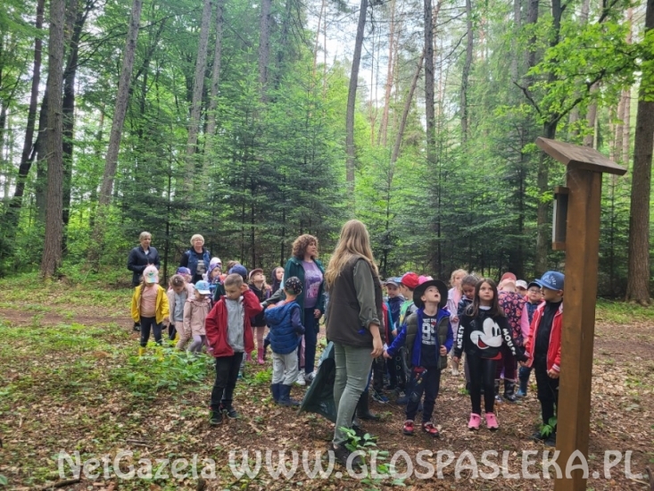 wieści z przedszkola