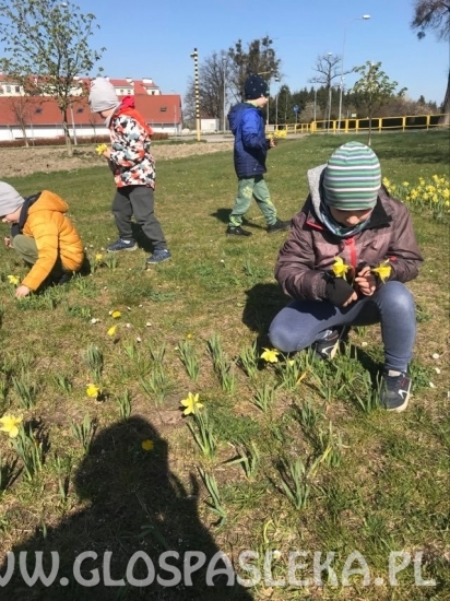 wieści z przedszkola