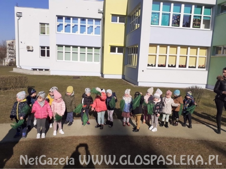 wieści z przedszkola