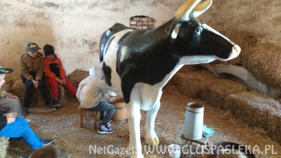 wieści z przedszkola