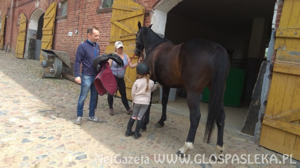 wieści z przedszkola