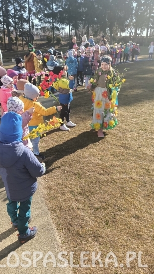 wieści z przedszkola