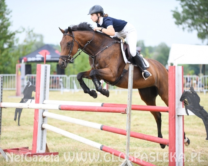 Zawody konne na terenie kąpieliska