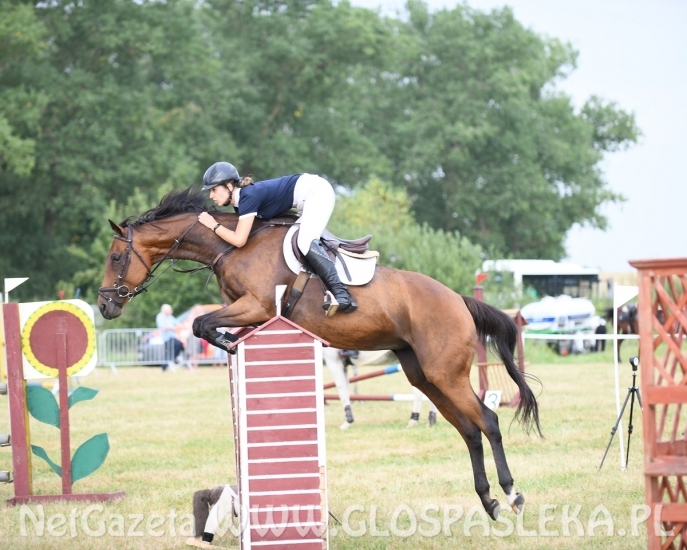 Zawody konne na terenie kąpieliska