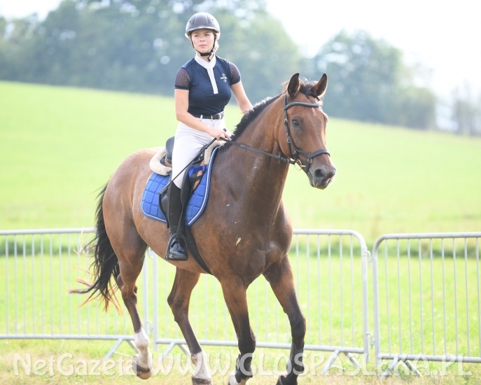 Zawody konne na terenie kąpieliska
