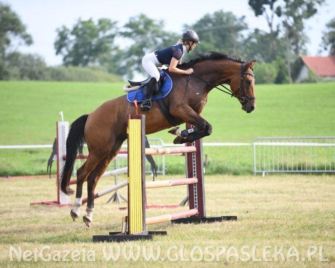 Zawody konne na terenie kąpieliska