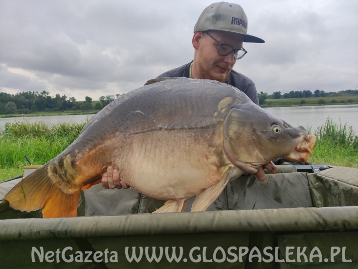 Karpie z Zakrzewka II