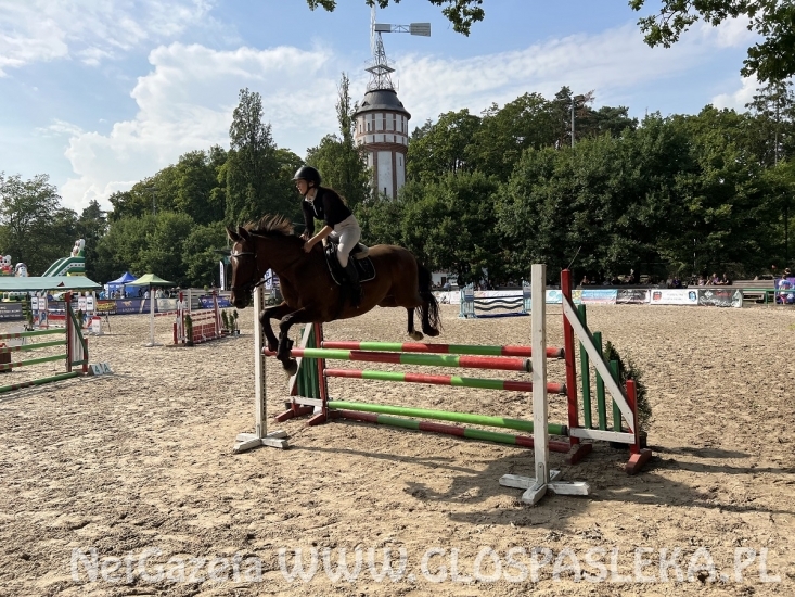 Udany wyjazd do Kwidzyna