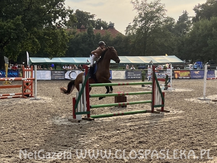 Udany wyjazd do Kwidzyna