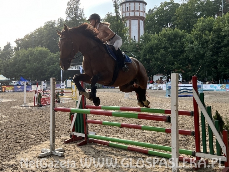 Udany wyjazd do Kwidzyna