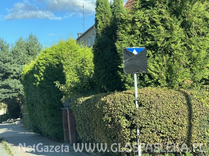 Zmiana organizacji ruchu na ul. Zwycięstwa