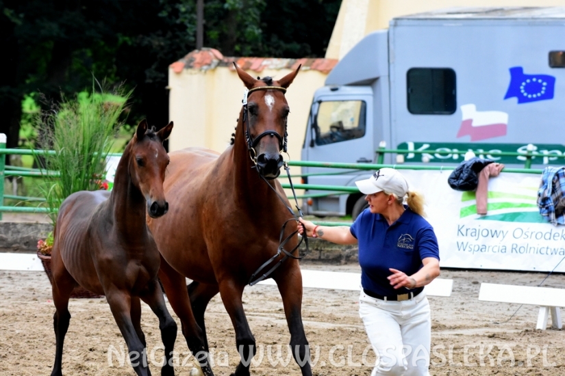 Czempionat koni w Rzecznej