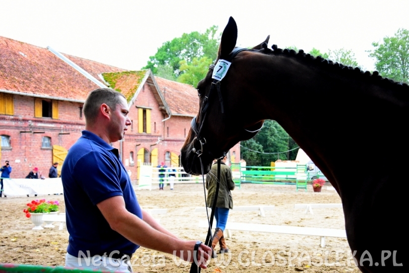 Czempionat koni w Rzecznej