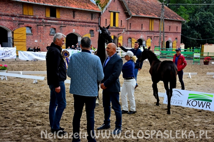 Czempionat koni w Rzecznej