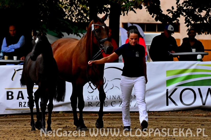 Czempionat koni w Rzecznej