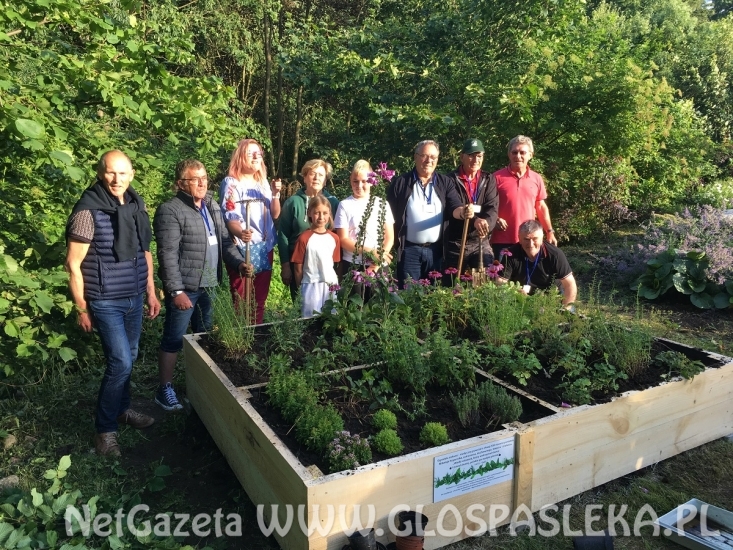 Aktywni we wspólnej Europie