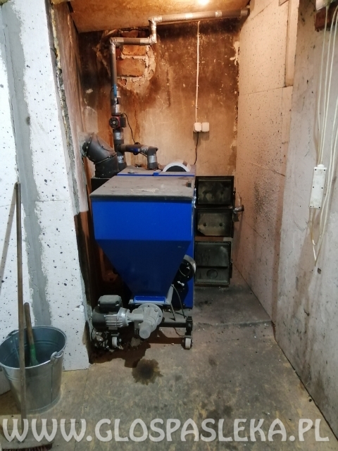 Amazonki z Nenii skakały w Lidzbarku