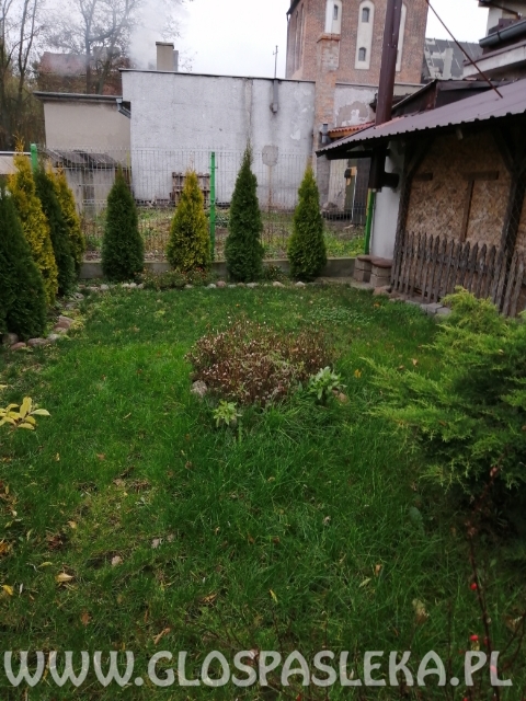 Amazonki z Nenii skakały w Lidzbarku