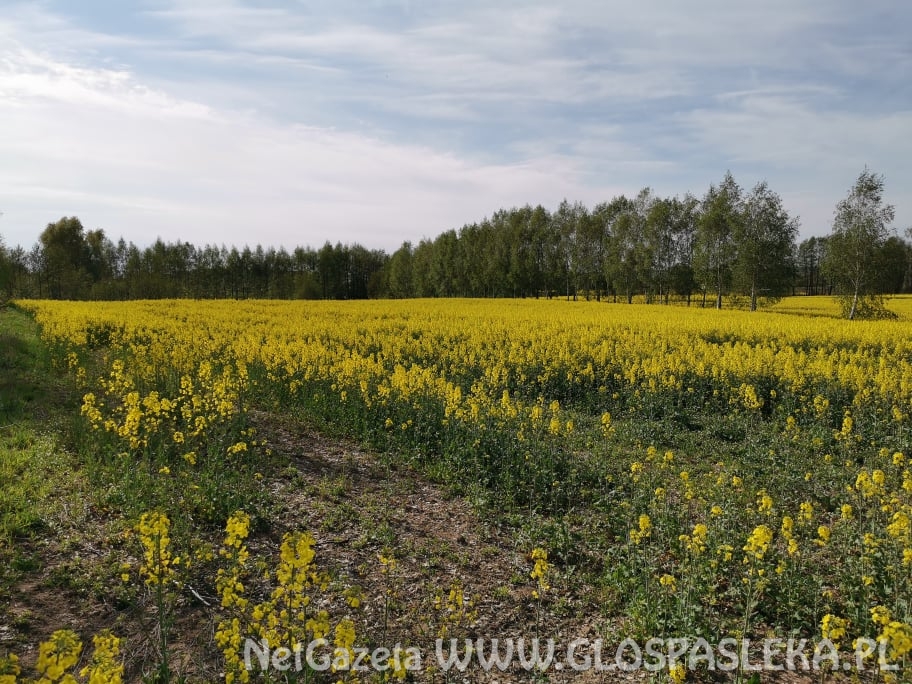 Jest nadzieja na remont