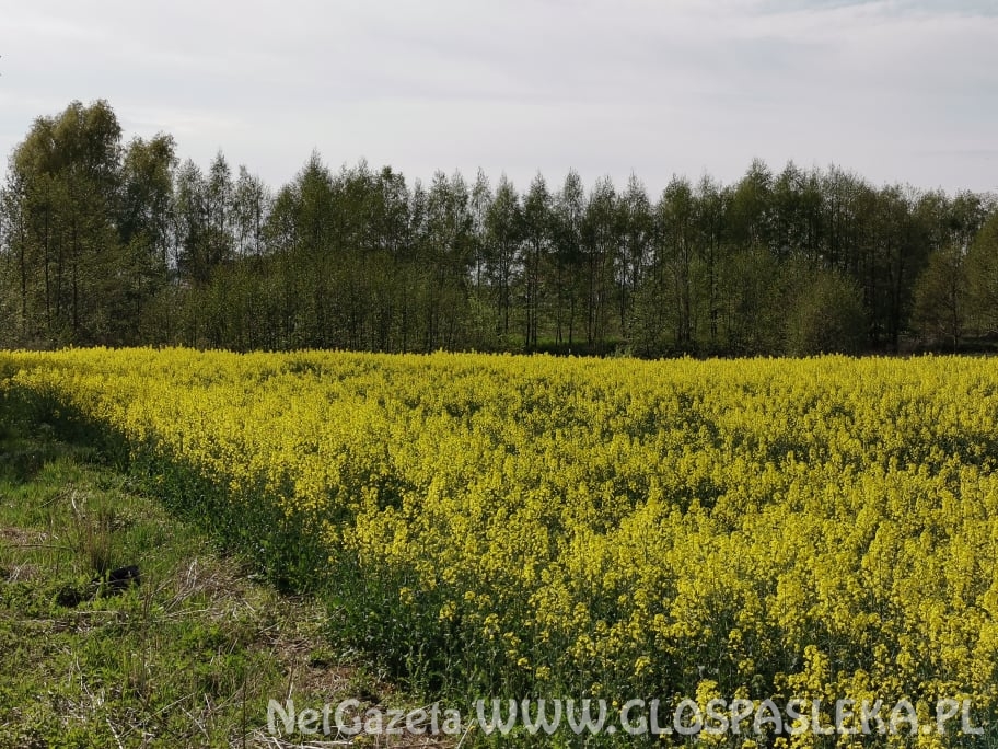 Jest nadzieja na remont